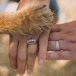Pet4you.BG: Притежаването на домашен любимец не е привилегия, а отговорност